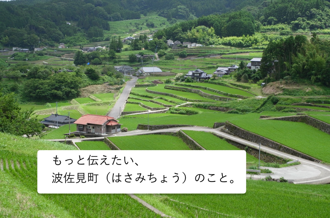 もっと伝えたい、波佐見町(はさみちょう)のこと。