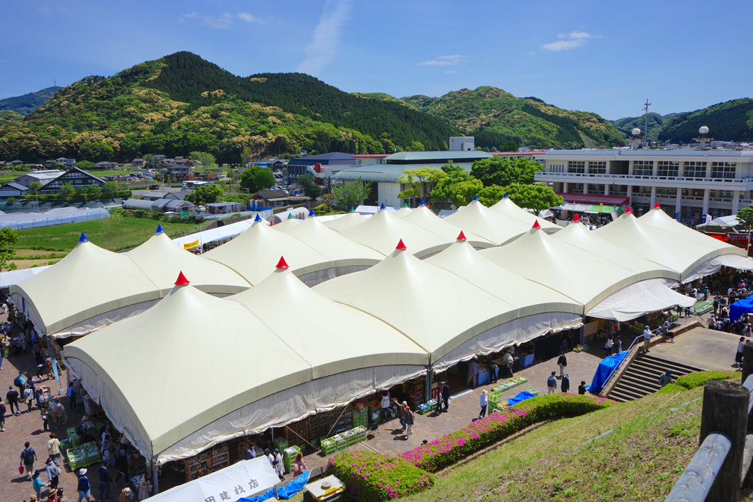 3年ぶり!「波佐見陶器まつり2022」をレポート!