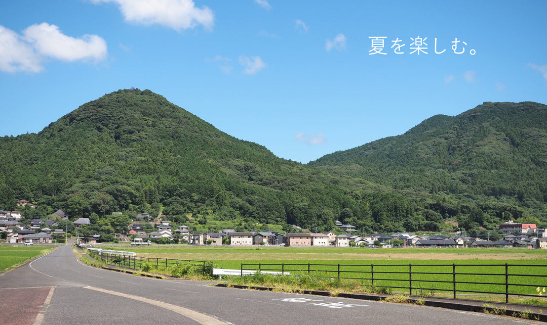 夏を楽しむ、Hasami Lifeのよみもの